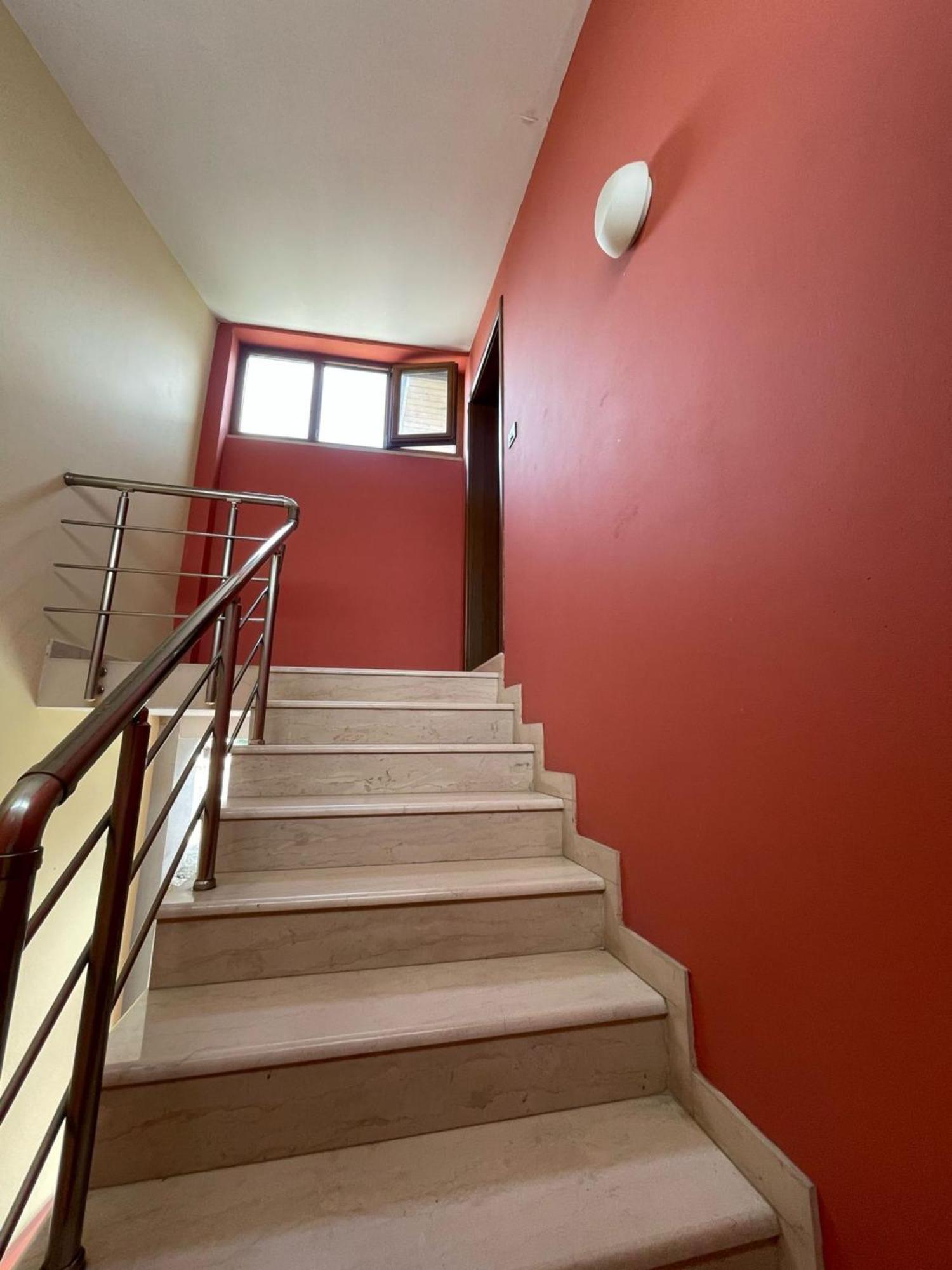 Kalpazo 313 * Tirana