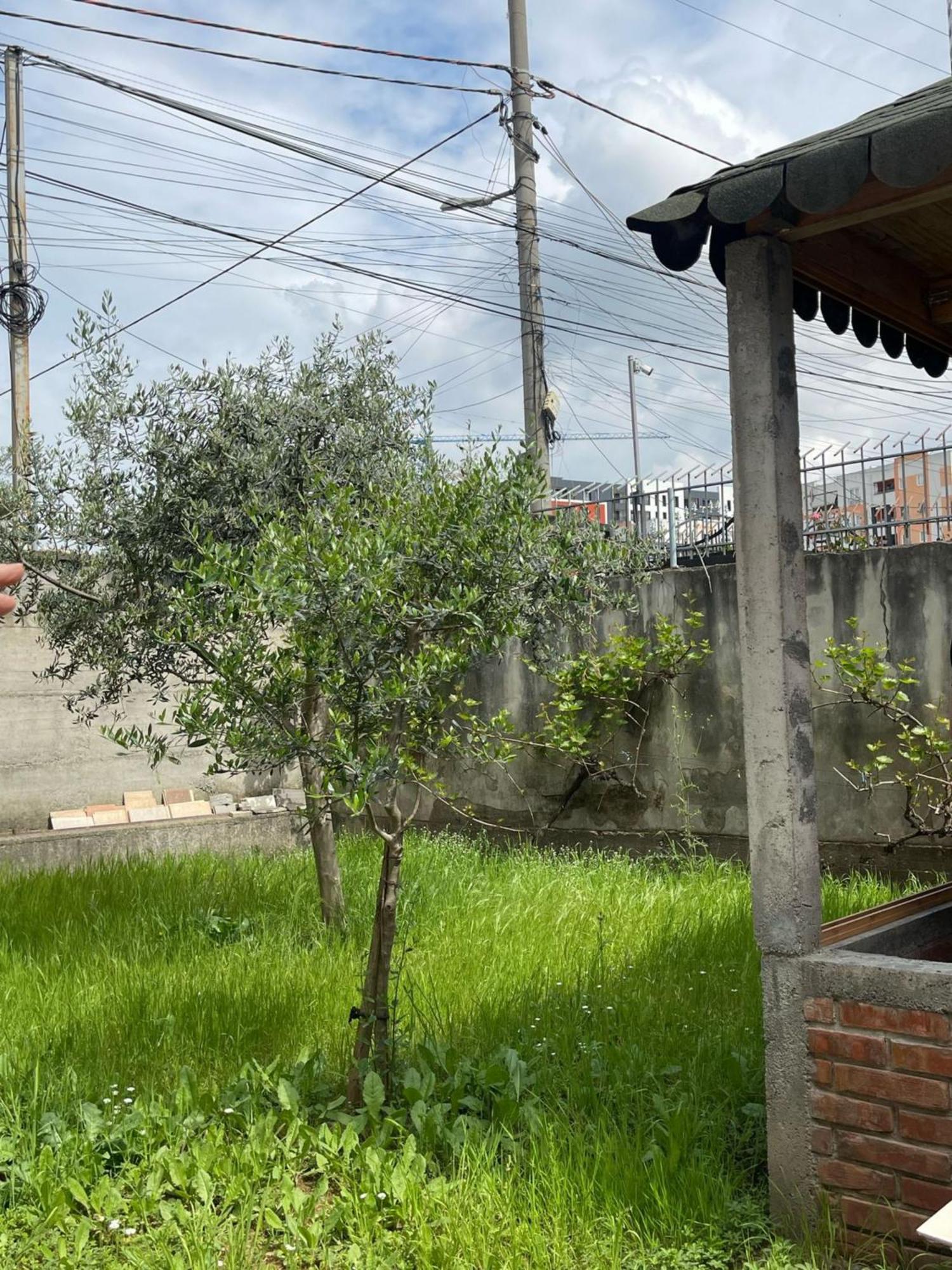Kalpazo 313 Apartamento