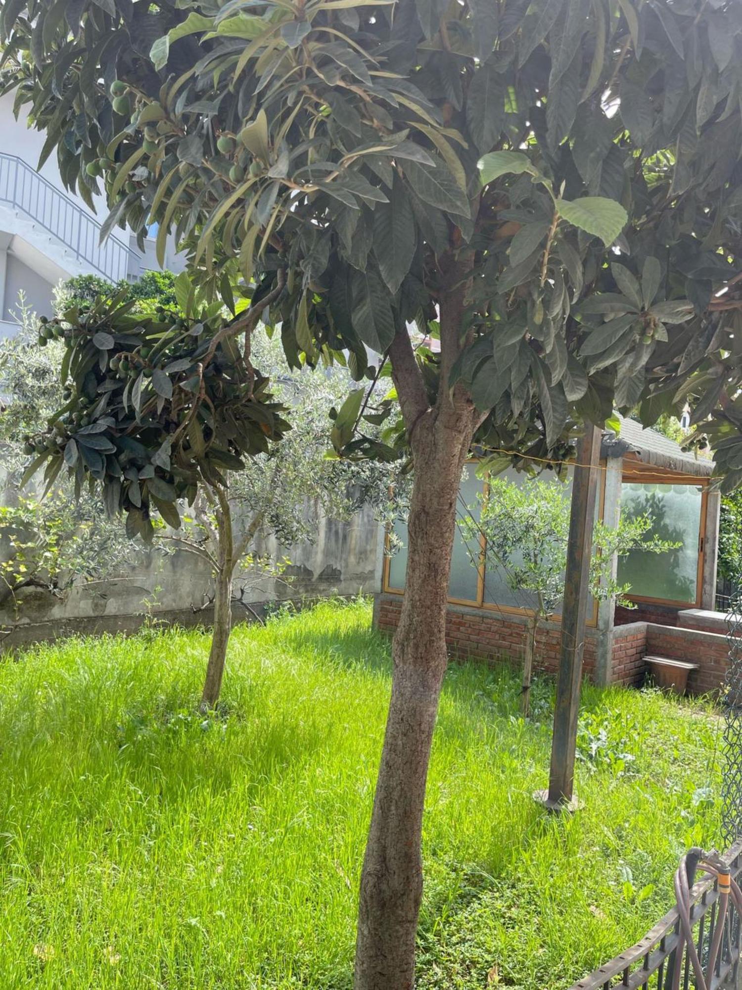 Apartamento Kalpazo 313