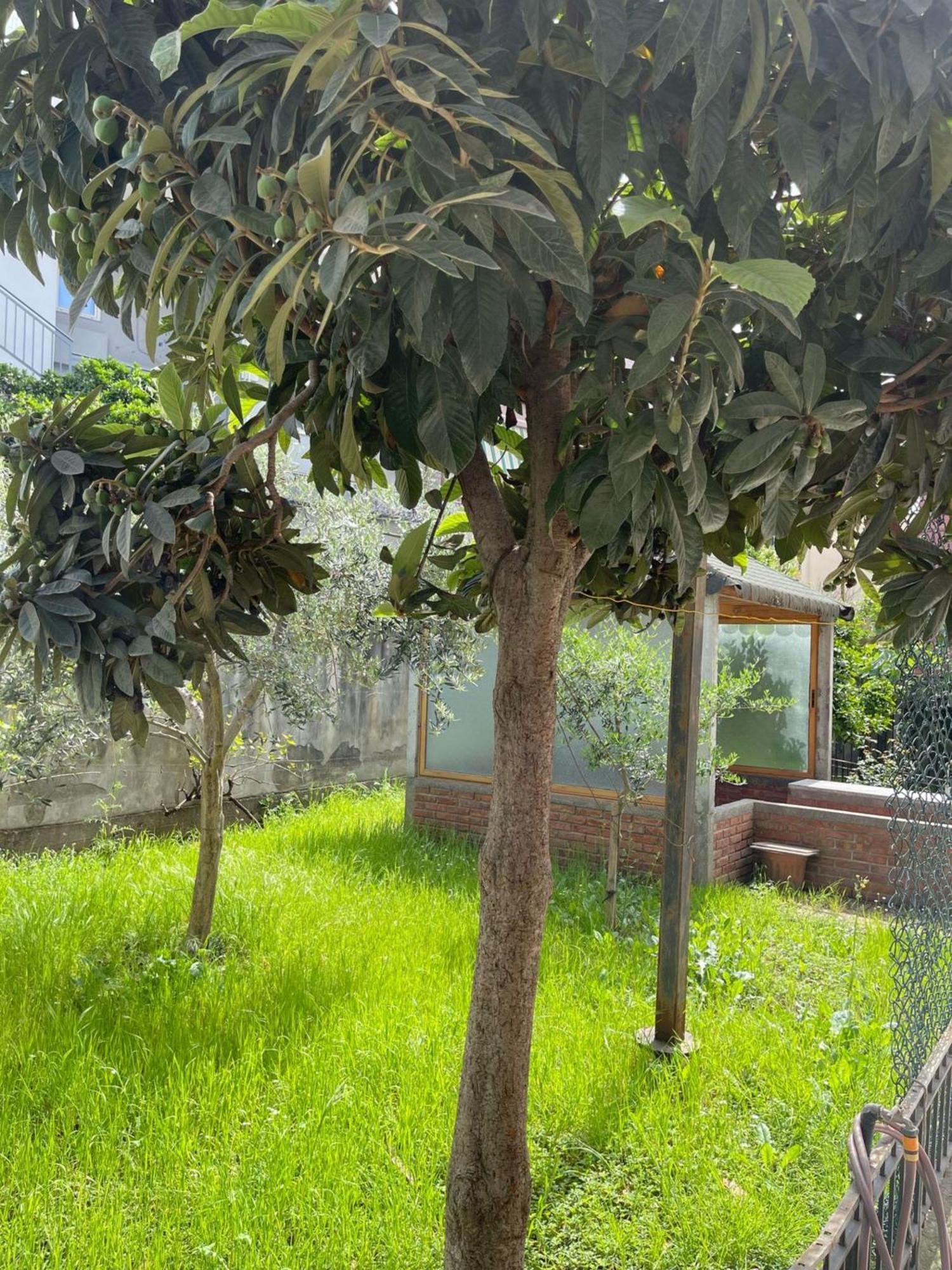 Apartamento Kalpazo 313 *