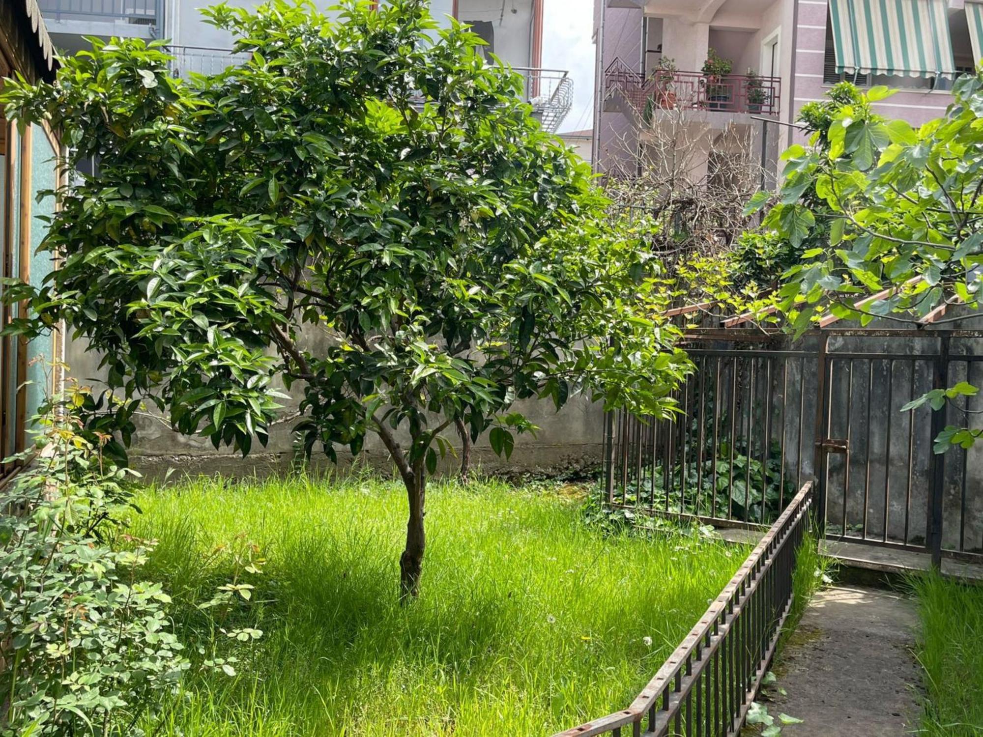 Kalpazo 313 Apartamento Tirana